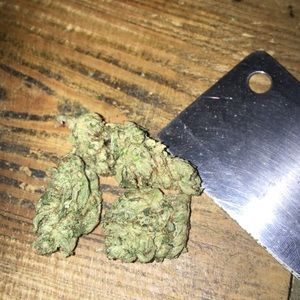 Meet your Posher, Jae